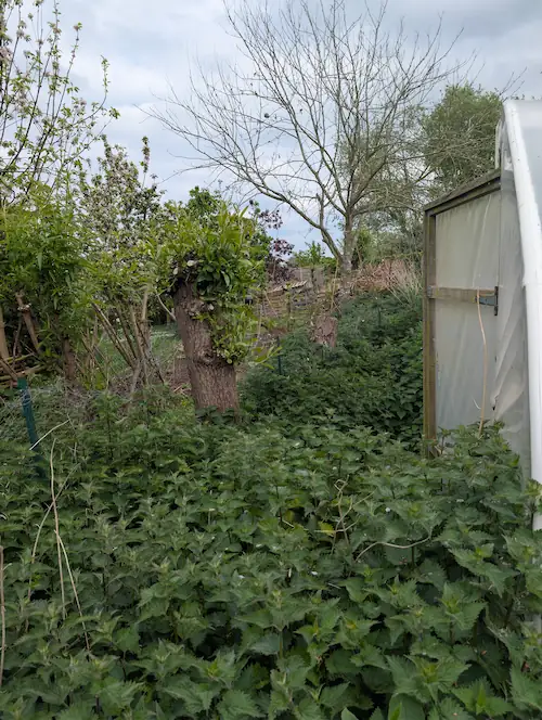 Neglected narrow passage